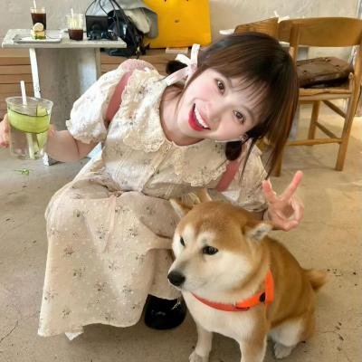 十二生肖传奇